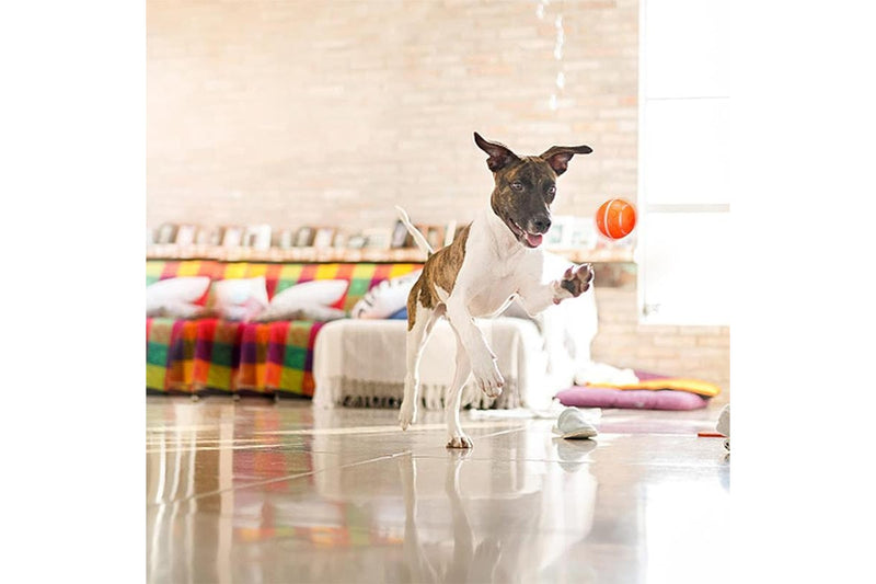 PETSWOL Automatic Rolling Pet Ball - Orange