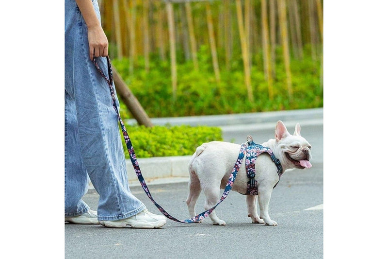 Floral Design Padded Handle Pet Leash