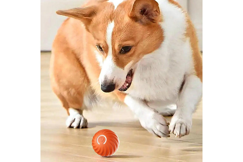 Pet Automatic Rolling Ball Toy Jumping Bouncing Ball Pet Dog Toy Orange