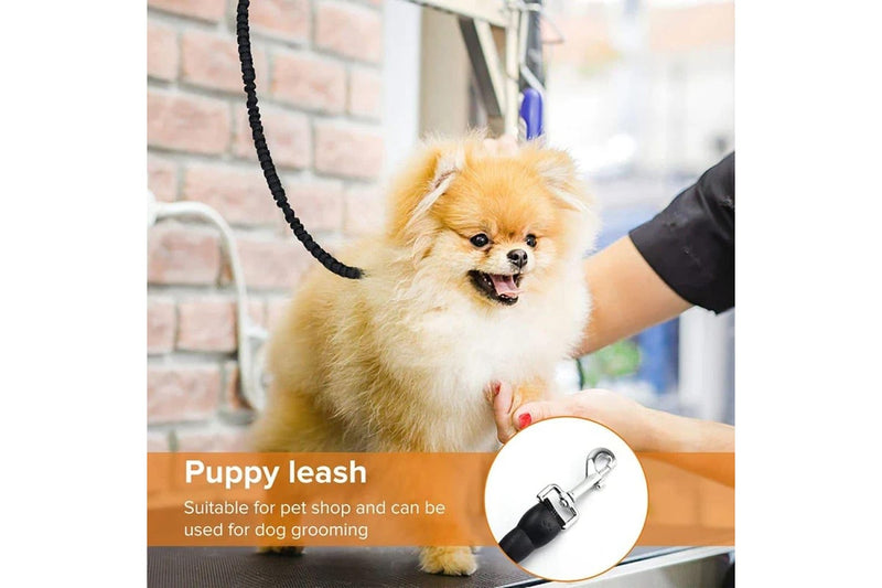 Heavy Duty Dog Leash Stretchable Reflective