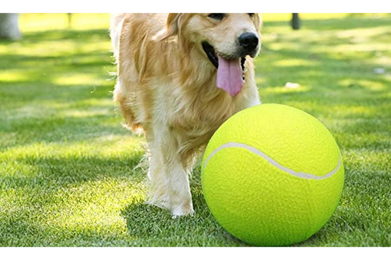 Pets Giant Tennis Ball