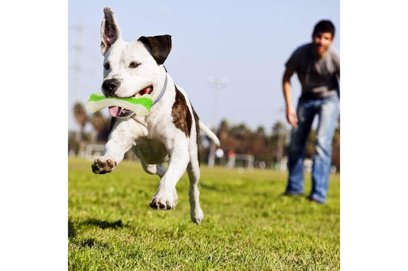 Non-toxic Bite Resistant Bacon Flavour Dog Chew Bone Toy For Small Large Dogs