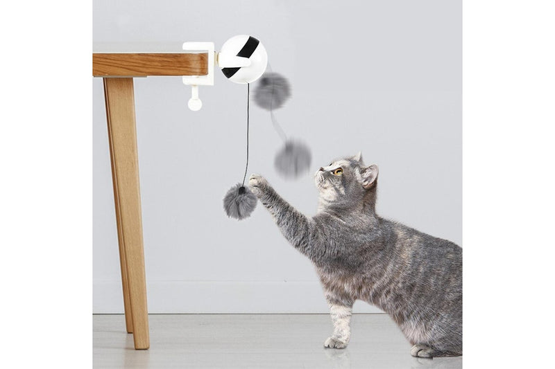 Electric Automatic Lifting Cat Ball Interactive Cat Teaser Toy Cat Playing Toy