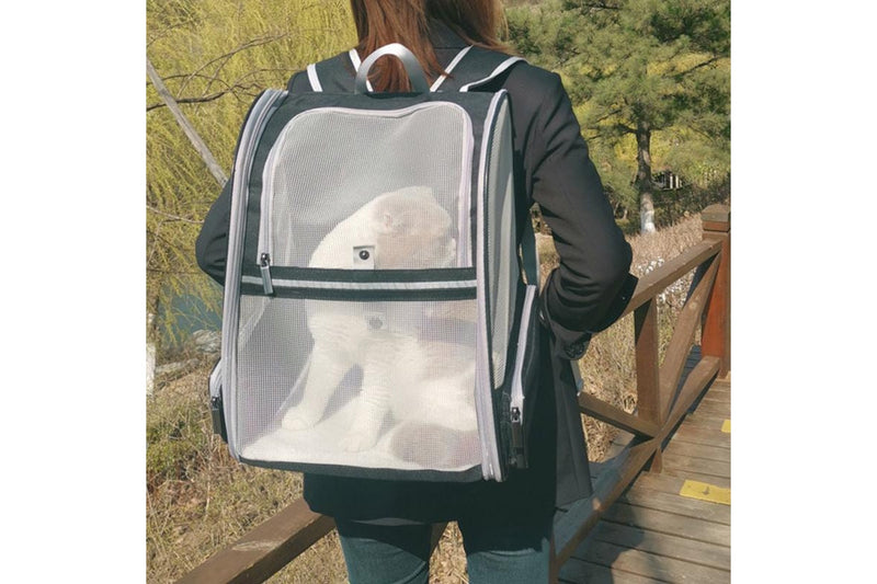 PETSWOL: Breathable Portable Cat Backpack