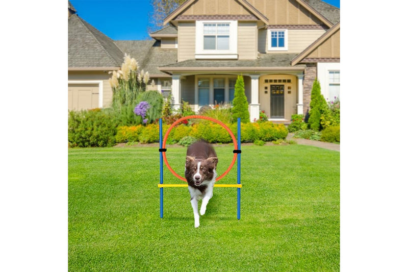 ZOOMIES Dog Agility Ring