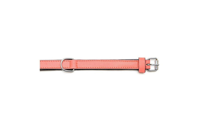 Dog Collar By Gloria Padded Coral 40 x 2 cm