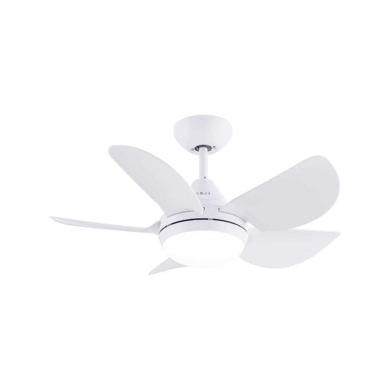 Fan Ceil White 5 ABS Blade Arlec 76CM Maxy W/Light