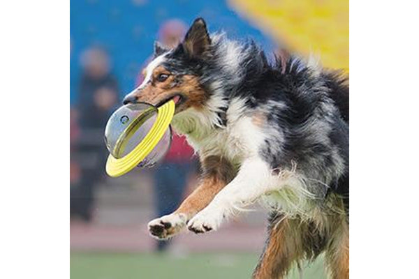 Ufo Flying Frisbee Feeder For Dogs Pet Toy - Yellow