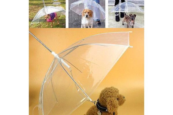 Transparent Pet Umbrella Portable Built In Leash - Standard - Set Of 1