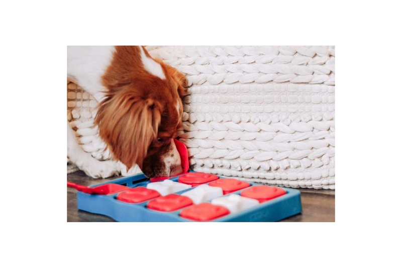 Nina Ottosson by Outward Hound Dog Brick Interactive Treat Puzzle Dog Toy - NZ Stock