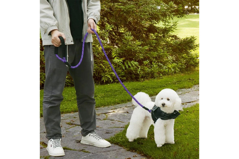 ZOOMIES 1.5M Reflective Threads Dog Leash with Padded Handle - Purple