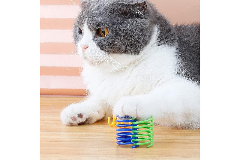 40Pcs Cat Spring Toys Colorful Cat Spiral Bouncy Toys Interactive Toys for Cats and Kittens