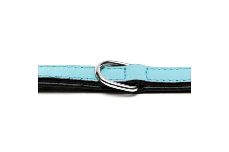 Dog Collar By Gloria 30 cm Padded Leather Blue