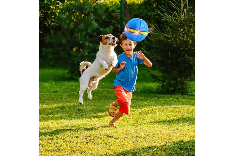 Pet Toy Flying Saucer Ball Dog Toy Pet Flying Saucer Ball (Color:Blue-6Light)