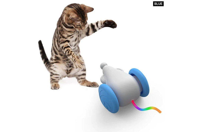 Interactive Cat Toy Usb Rechargeable With Squeaking Sound And Led Flashing Tail