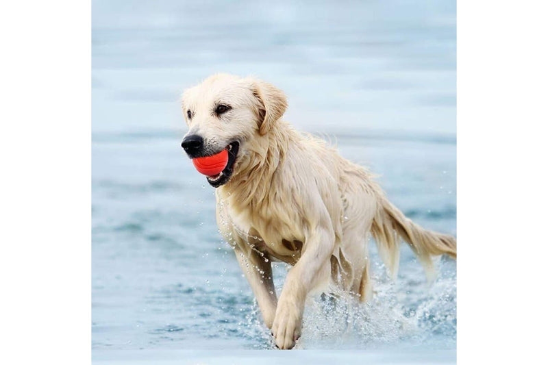 High-bouncing Solid Rubber Chew Ball For Small Medium Large Dogs