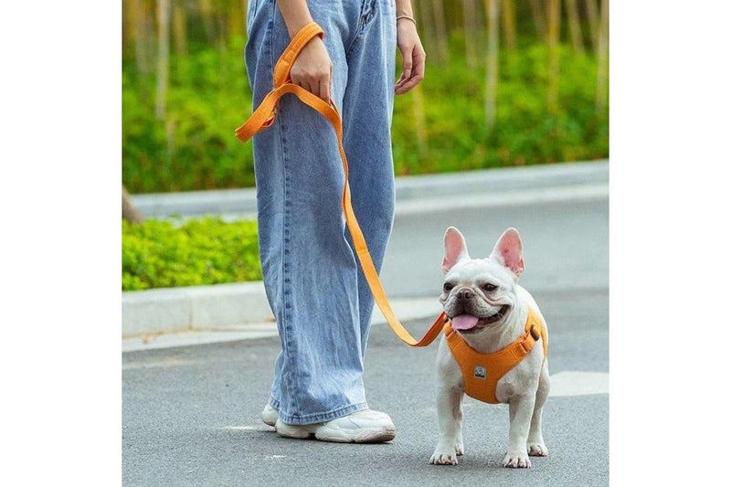 Comfortable Eco-friendly Dog Rope Leash