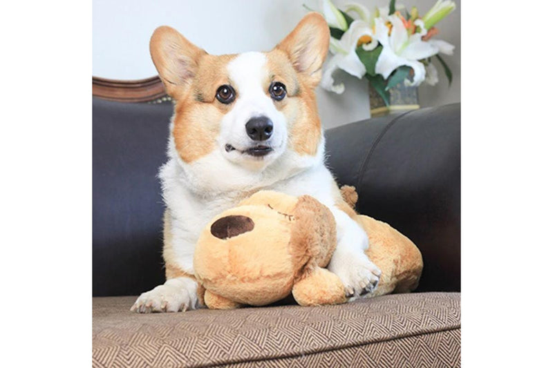 PETSWOL: Comfort Plush Dog Heartbeat Pet Toy