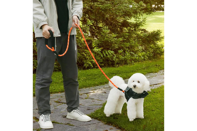 ZOOMIES 1.5M Reflective Threads Dog Leash with Padded Handle - Orange