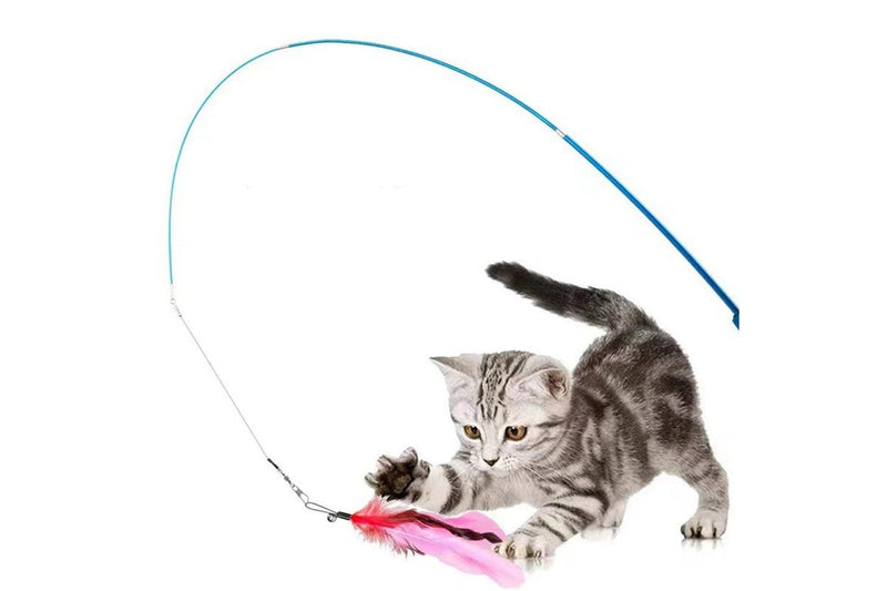 Cat Fishing Pole Toy Set Retractable Cat Wand and Feather Toys Interactive Kitten Toys