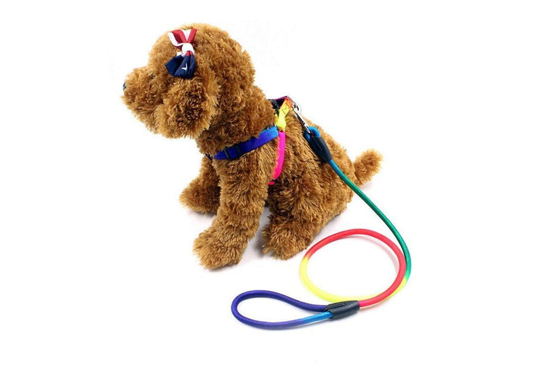 Durable Nylon Rainbow 1.2M Dog Leash Pet Walking Equipment - Dia. 0.8Cm