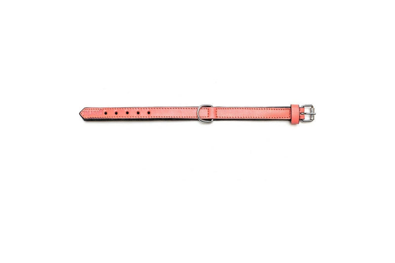 Dog Collar By Gloria Padded Coral 40 x 2 cm