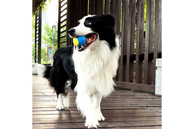 4Pcs Squeaky Dog Balls High Bouncy Ball Toys for Interactive Playing Pet Chew Balls