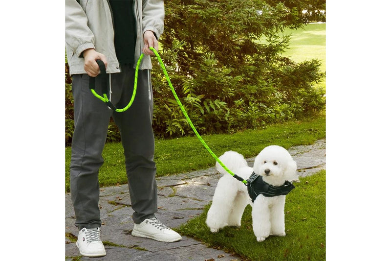 ZOOMIES 1.5M Reflective Threads Dog Leash with Padded Handle - Green