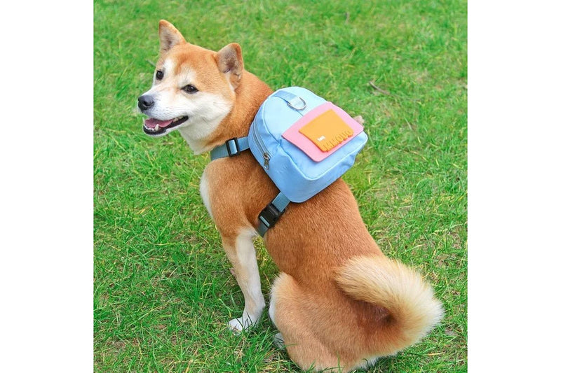 Dog Backpack Harness with D-Ring - Blue