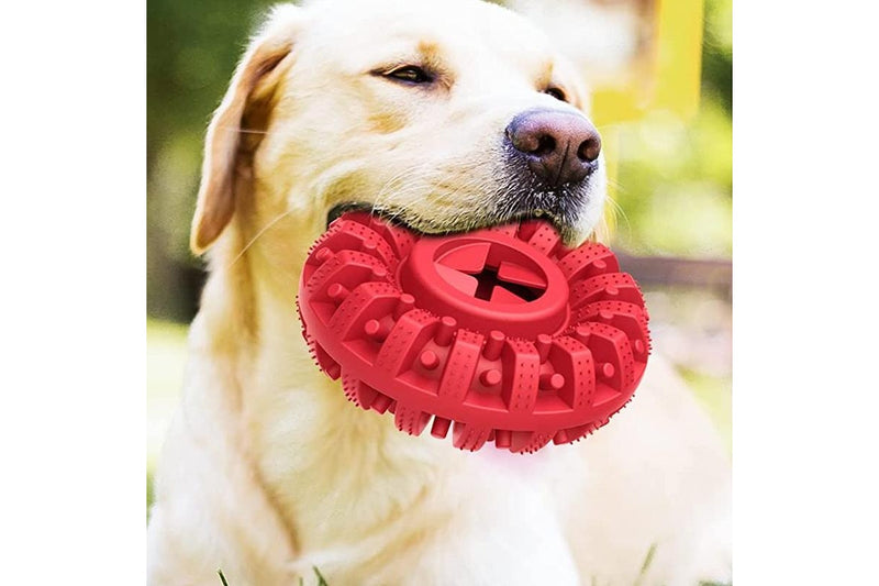 Pet Treat Dispenser Chew Toy - Red