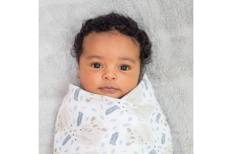 Lulujo: Muslin Cotton Swaddle - Koala