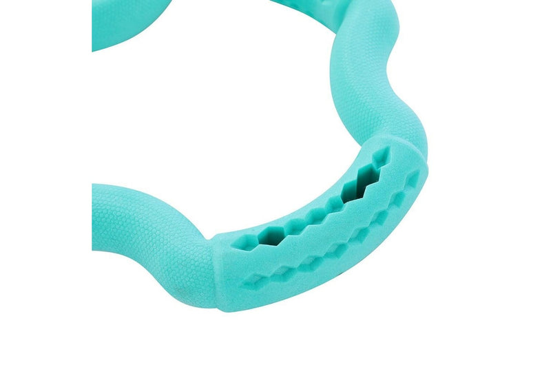 Paws & Claws 21x21x3.6cm Fetch N' Play Treat Ring Dog Pet Rubber Toy Assorted