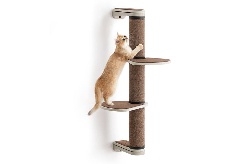 Feandrea Clickat Wall Mounted Cat Scratching Post