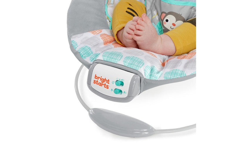 Bright Starts: Cradling Bouncer - Whimsical Wild