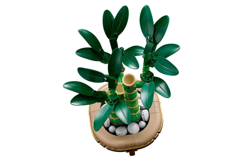 LEGO Botanicals: Lucky Bamboo - (10344)