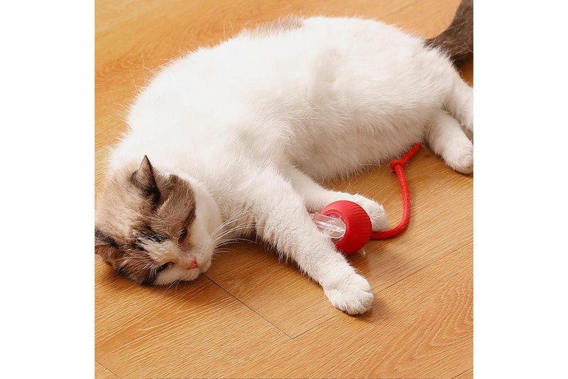 Interactive Cat Toy Ball Fast Rolling Chirping Motion Activate Cat Toy Red