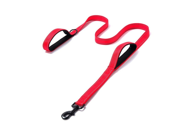 Double Handle Reflective Leash