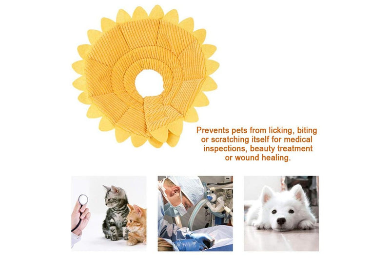 Pet Recovery Collar Small - Sunflower