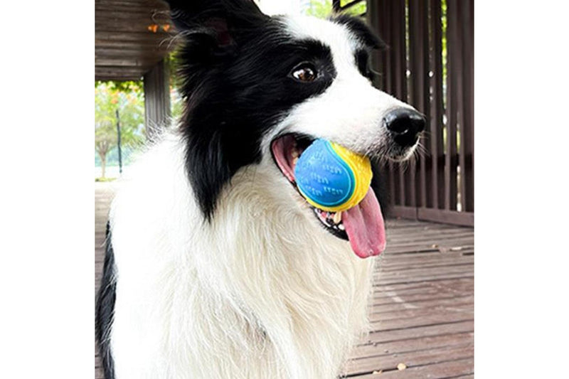 4Pcs Squeaky Dog Balls High Bouncy Ball Toys for Interactive Playing Pet Chew Balls