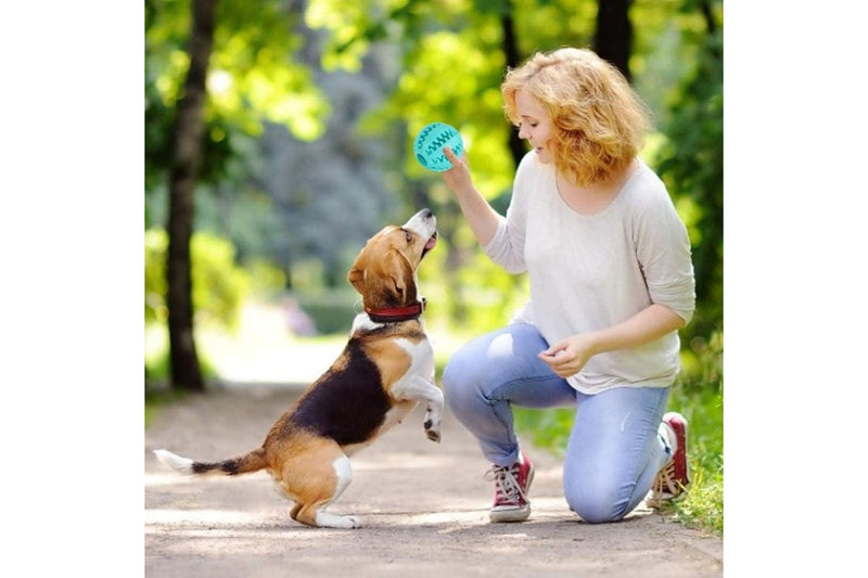 Pet Treat Dispenser Ball - Blue (7cm)