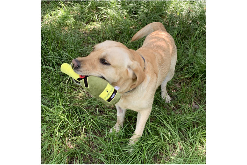 Unique Squeaky Plush Dog Toys - NZ Stock