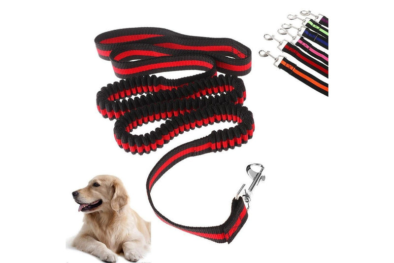 Pet Lead Large Small Dog Leash 1.2 Metre Expandable Bungee Training Rope - Orange - 120Cm