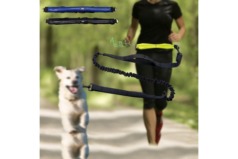 Reflective Dog Running Leash With Waterproof Waist Bag