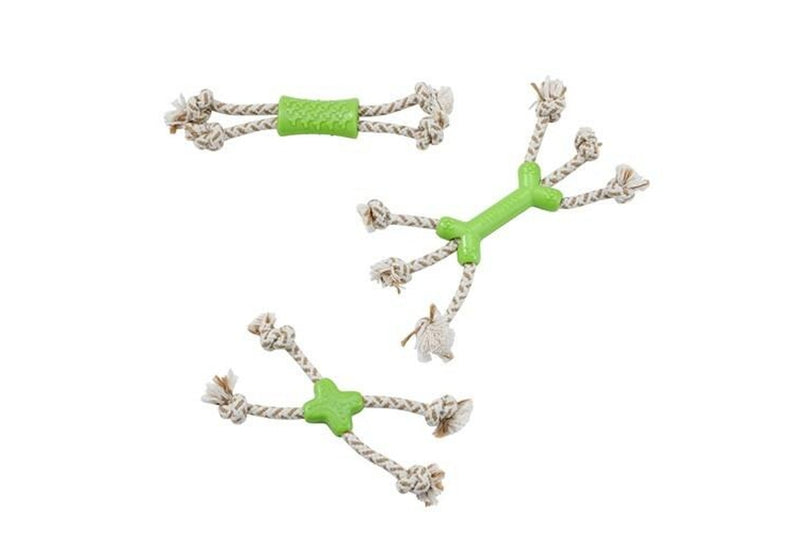 3x Paws & Claws 24cm Eco Knotted Rope Minis Chew Toy for Small Pet Dog Assorted