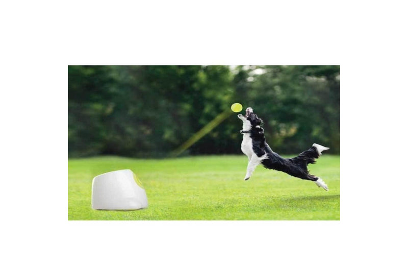 Hyper Fetch Maxi Dog Ball Thrower - Large Interactive Pet Toy Launcher