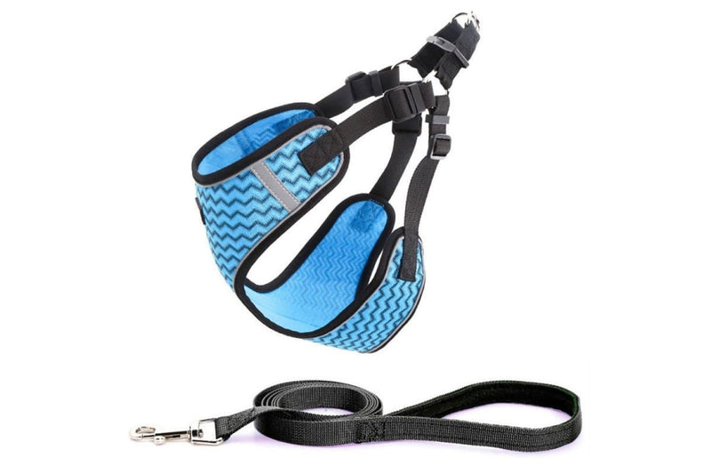 Stripe Printing Design Breathable Reflective Harness With Leash