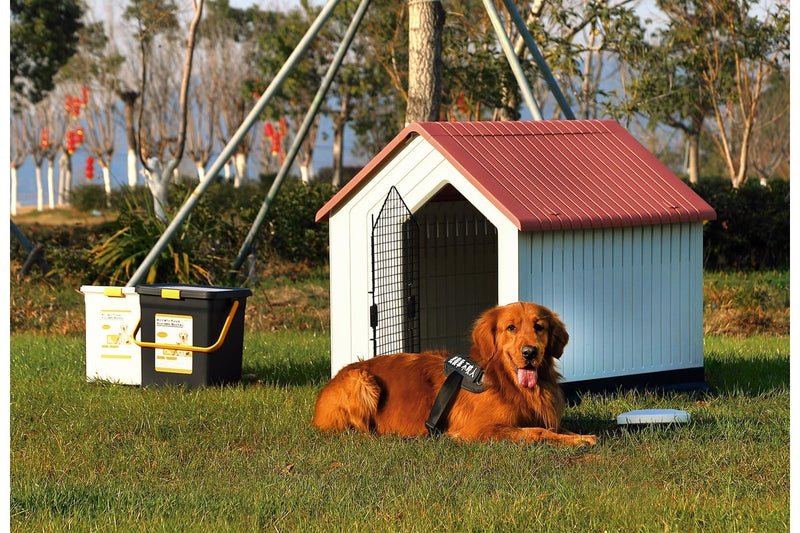 Zoomies Pet House With Iron Gate - White & Blue Roof