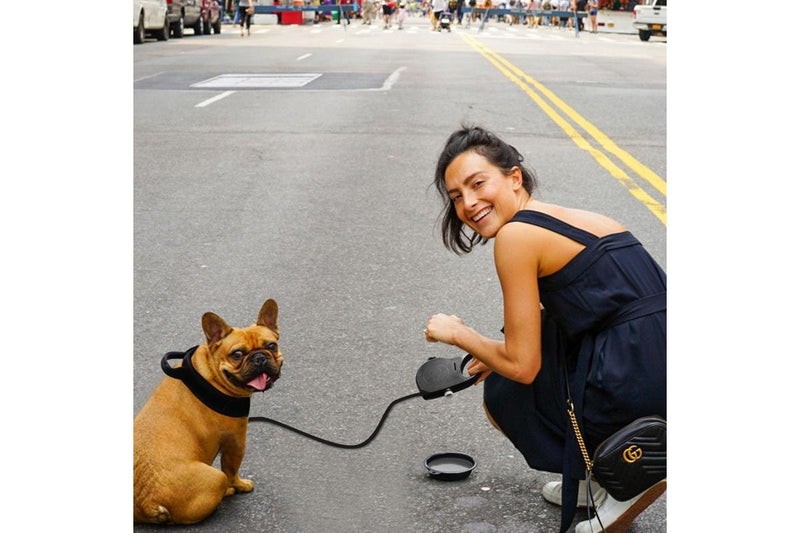 PETSWOL 3-in-1 Dog Leash with Water Bottle & Foldable Bowl - Black