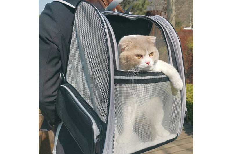 PETSWOL: Breathable Portable Cat Backpack