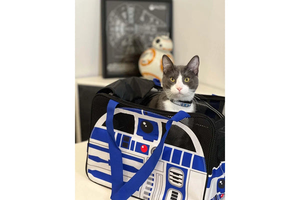 Star Wars: R2-D2 Pet Carrier